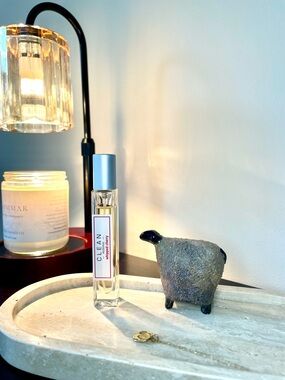 CLEAN Reserve Whipped Cherry 🍒